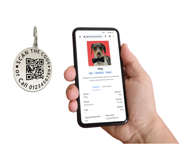 Tags Double side engraved ID name Dog Breed Face Round QR Code Supported Scan Disk personalising engraving pet dog tag tags-Laser Engraving + 1 Year QR App Subscription